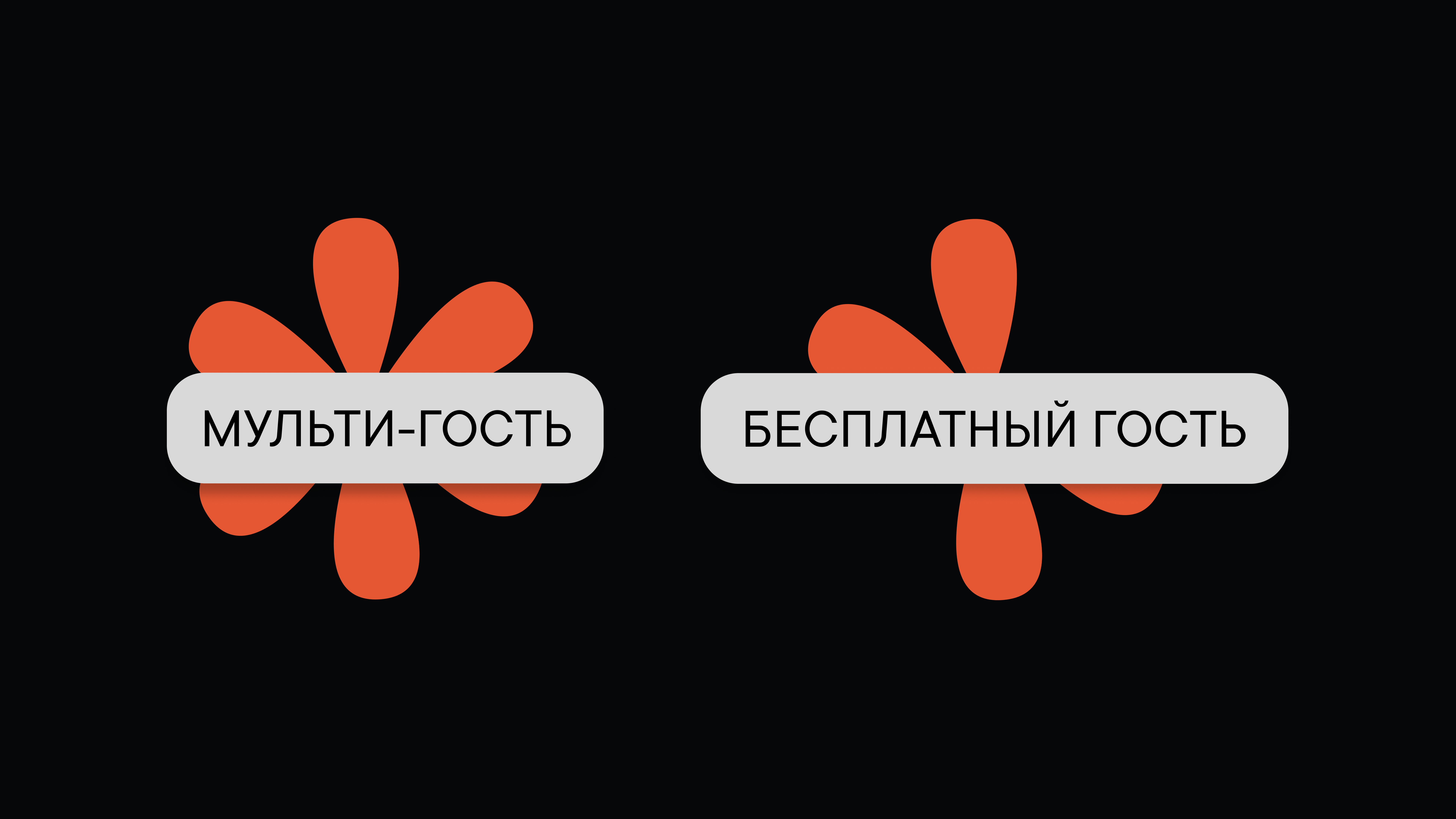 Гости в Пачке